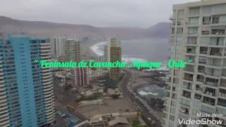 Península de Cavancha  Iquique Chile [upl. by Bryner]