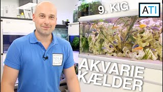 Akvarie kælder med 9 akvarier  9 kig [upl. by Steddman313]