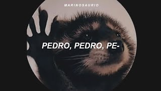 la canción de pedro  PEDRO  Raffaella Carrà Jaxomy Agatino Romero Remix sub español [upl. by Stucker]