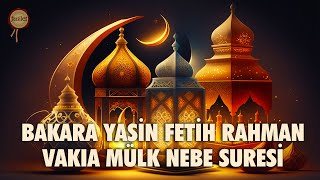 Bakara Fetih Rahman Vakıa Mülk Nebe Yasin Suresi [upl. by Reggie]