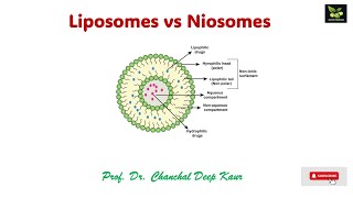 Liposomes vs Niosomessaiedupharmaa ndds [upl. by Aitropal288]