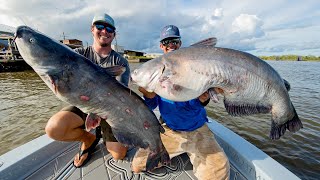 Monster Mississippi River Catfish [upl. by Rehptsirhc588]