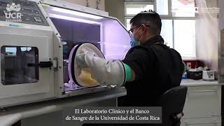 Procesamiento e identificación de bacterias anaerobias [upl. by Cho847]