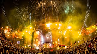 David Guetta  Titanium ft Sia Alesso Remix Live  Tomorrowland 2015 [upl. by Robertson656]