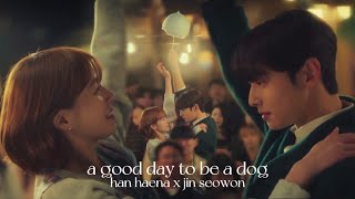 a good day to be a dog  han haena x jin seowon [upl. by Aizirk]