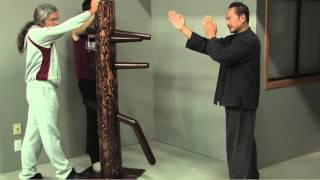 Wing Chun Dummy Intro [upl. by Vera1]