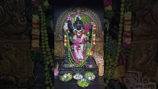 Mecheri 🙏bathrakaliamman 🌿 WhatsApp status Mecheri Bathrakaliamman EDlTZ [upl. by Ialohcin900]