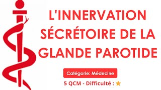 Linnervation sécrétoire de la glande parotide  Catégorie Médecine  5 QCM  Difficulté  ⭐ [upl. by Eybbob]