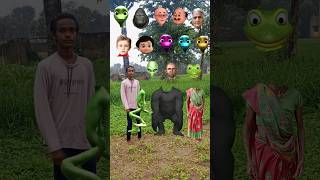 damito cosita Gorilla Dadi correct real face dance game video  youtubeshorts trending shorts [upl. by Narrat]