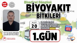 Biyoyakıt Bitkileri  Enerji Bitkisi Yetiştiriciliğinin Önemi ve Biyokütle Tesisleri 1Gün [upl. by Uke]