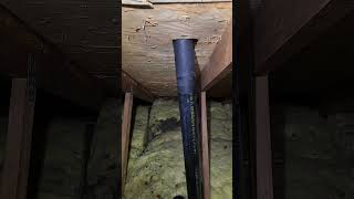 Plumbing vent pipe DISCONNECTED in the attic NOT GOOD atticinspection homeinspection [upl. by Tound749]