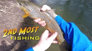 Spinning for Trout on Black Earth Creek 4162019 [upl. by Kondon]