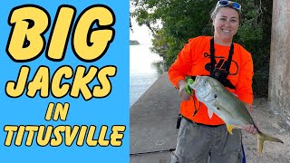 Epic Jack Crevalle Fishing Adventure in Titusville Florida [upl. by Margarethe]