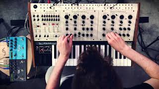 Oberheim Two Voice Pro SemiModular Exploration [upl. by Halverson]