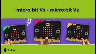 Programá con tu microbit V1 o V2 [upl. by Komsa273]