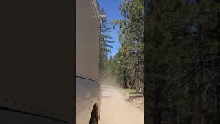 Truck Camper explores forest off grid [upl. by Vasili]