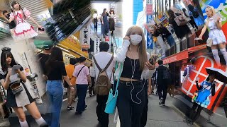 9月下旬月曜日の秋葉原・水道橋周辺 Around Akihabara and Suidobashi on Mondays in late September [upl. by Adne]