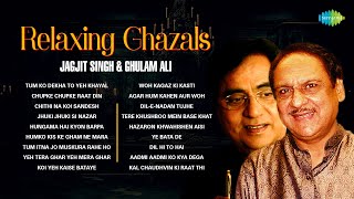 Relaxing Ghazals  Chithi Na Koi Sandesh  Dil E Nadan  Jagjit Singh Ghazals  Best Of Ghazal [upl. by Adrahs519]