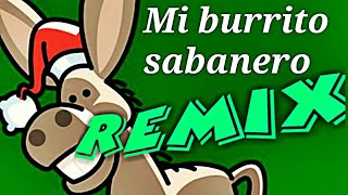 Mi Burrito Sabanero REMIX Dj OKR style version bailable [upl. by Darrell]