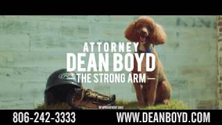 Attorney Dean Boyd Sod Poodles Video  English [upl. by Ledniahs]