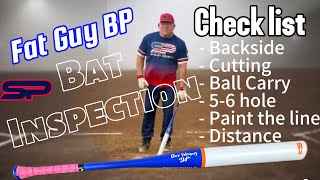 Short Porch Dave Velasquez Senior Softball Bat Inspection [upl. by Einaj781]