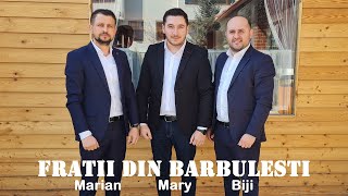 Marian Biji si Mary din Barbulesti  Miezul nopții e aproape  Cover [upl. by Inahs]