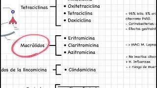 Farmacología básica antibióticos inhibidores de la síntesis de proteínas [upl. by Strickler]