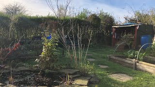 Late Autumn allotment progress [upl. by Glass]