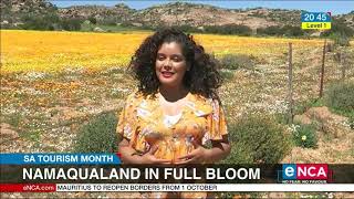 Namaqualand in full bloom [upl. by Aivatnuhs]