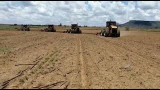 ACO 250  ACO 210  ACO 160 tractors in one field in South Africa near Senekal [upl. by Lednyc]