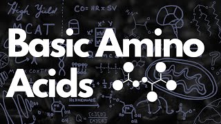 Basic Amino Acids MCAT  Histidine Tautomerization  MCAT [upl. by Eal945]