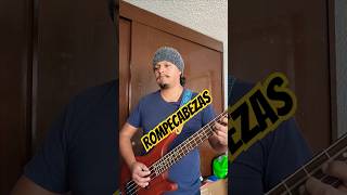 Ahora dicen que regresan Los Concorde bajista losconcorde rompecabezas rock [upl. by Aivon]