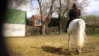 Marie Hélène GODBERT Mes ARTISTES de CHEVAUX NACARINO Recherche du PIAFFE [upl. by Sinaj]