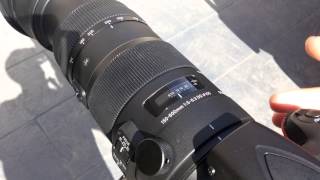 Sigma 150600mm Sports Lens 250mm Focus Speed Test [upl. by Javier603]