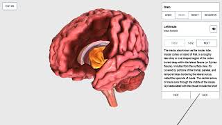 How To BioDigital Human zSpace [upl. by Capone]