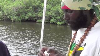 SNOOK FISHING IN NEGRIL JAMAICA [upl. by Mathia]