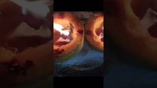 Khalabhairava Kushmanda Deepam kalabhairava deepam [upl. by Lesde]