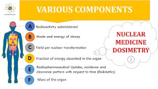 Various Components of Nuclear Medicine Dosimetry [upl. by Chickie]