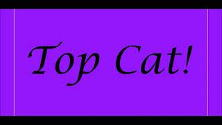 Top Cat Theme Song Lyrics [upl. by Ahoufe]