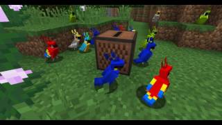 Minecraft Parrots Dancing  Танцующие Попугаи [upl. by Ramirolg90]