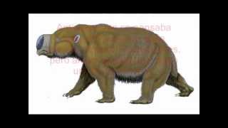 Diprotodon [upl. by Cyrillus575]