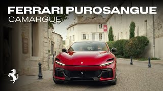 The Ferrari Purosangue  an experience unlike any other [upl. by Efthim]