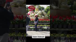 Dalat vietnam [upl. by Nithsa]