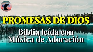 Promesas de Dios de la Biblia en audio para antes de Dormir con Música Cristiana de fondo [upl. by Carlotta257]