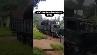 Bheema Elephant Going for Rescue operation Bheema dasaraelephant Newlook kannadadigitalcreater [upl. by Dafodil]