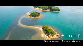 【4K空撮】黒島ヴィーナスロード Kuroshima Venus Road [upl. by Nyleikcaj]