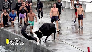 Tourada Porto de São Mateus 2082023 Ganadeiro F PAÇORES [upl. by Briano295]