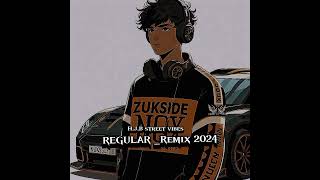 RegularFtDj Zuksidenox Remix 2024 [upl. by Ahsekram]