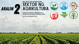 Grade 9 Ekonomiks Sektor ng Agrikultura COT2 [upl. by Ailito110]