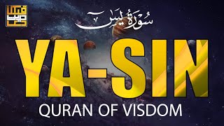 SURAH YASIN  YASEEN  SOUL TOUCHING QURAN  2024 New  یٰس [upl. by Netloc]